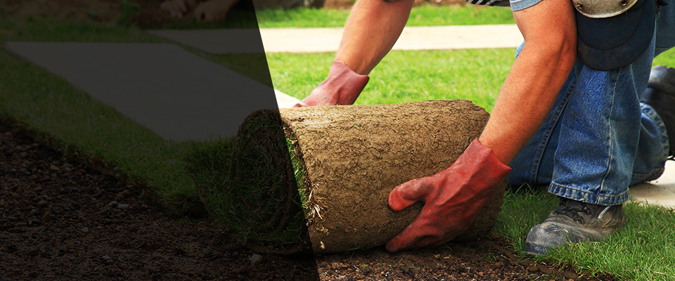 Oxon Hill Landscapers